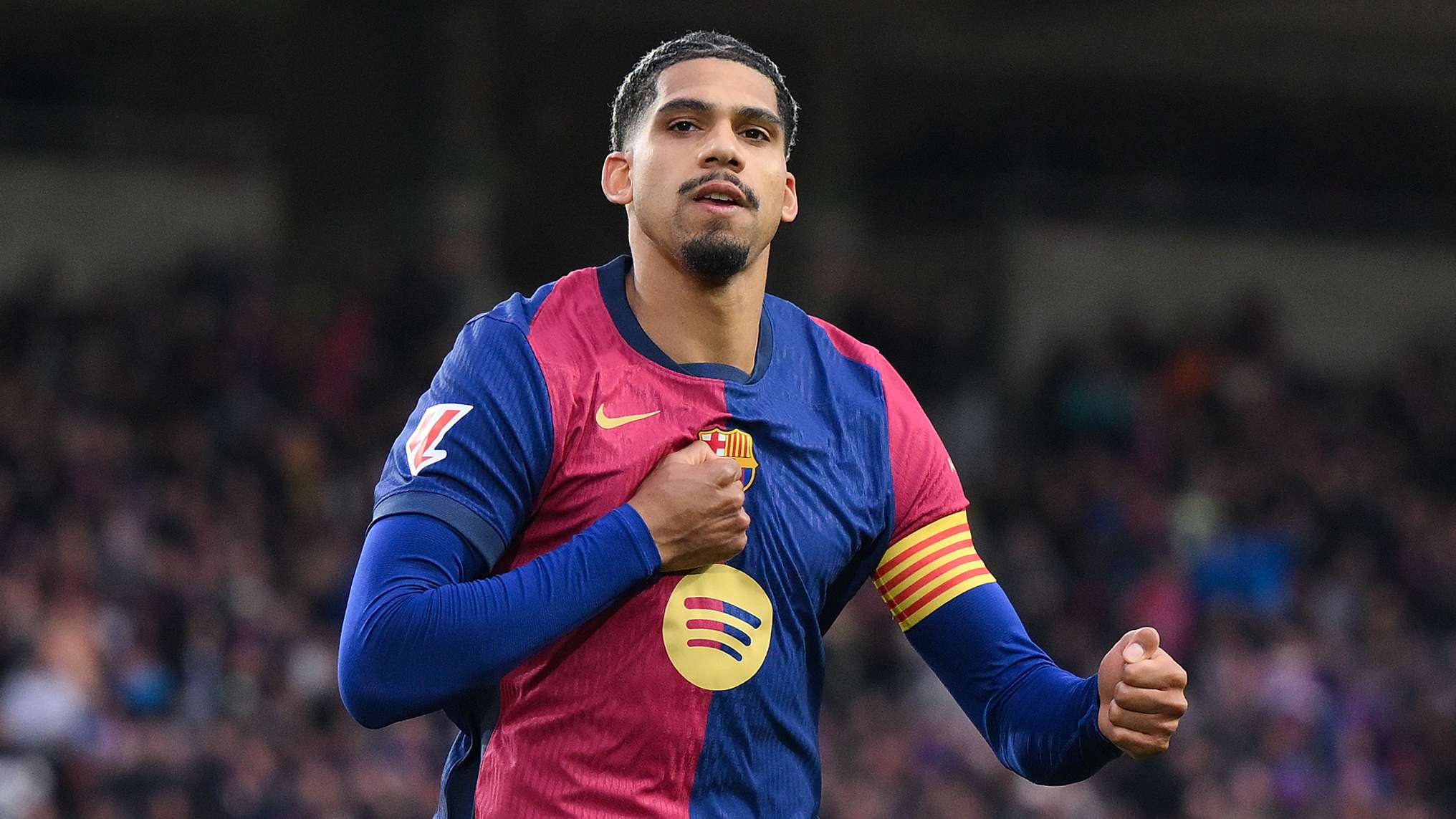 顯示了通過 顯示了通過